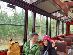 -合肥滨湖国家森林公园