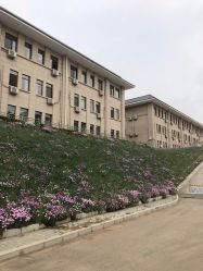 -北京家恩德仁医院-妇产科