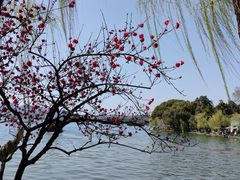 -西湖天地