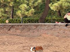 -青岛第二海水浴场