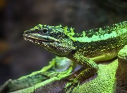 -酷嗒动物文化乐园(cutezoo西溪乐天城店)