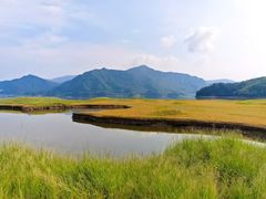 -白鹭湾湿地公园
