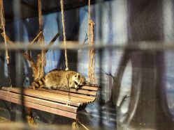 -酷嗒动物文化乐园(cutezoo西溪乐天城店)