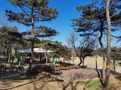 -北京西山国家森林公园