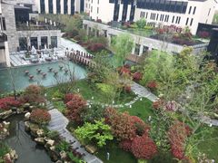 -上海崇明金茂凯悦酒店