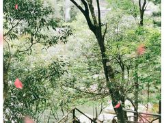 -安徽天堂寨风景区