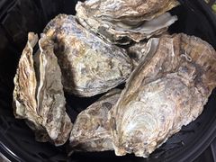 高压锅蒸乳山生蚝-乔街深夜食堂·台州菜·高压锅生蚝(杭州总店)