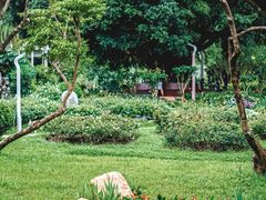 -人民公园(罗湖区)