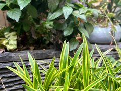 -贰醒·私房小院烧烤 (太古里店)