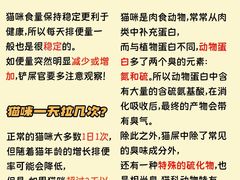 -纳吉亚猫专科动物医院博雅分院