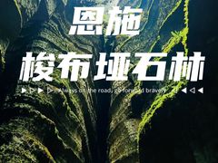 -梭布垭石林景区