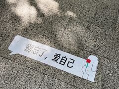 -东山湖公园
