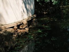 -水绘园