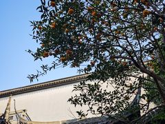 -胡雪岩故居