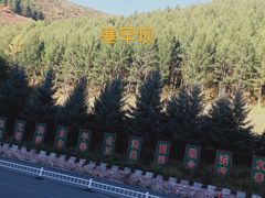 -塞罕坝国家级自然保护区