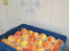 -老袁家蜜桃农场·阳山水蜜桃