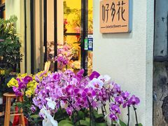 -溪岸路花鸟市场