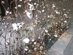 -無用生活空间(北京店)