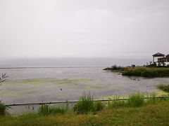 -大理洱海