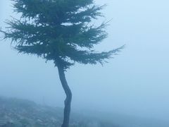 -灵山
