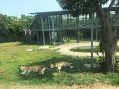 -西安秦岭野生动物园