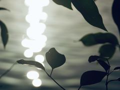 -黄兴公园