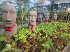 -南宫五洲植物乐园