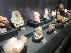 -湖南省地质博物馆