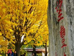 -丰台花园