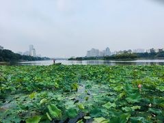 -南宁南湖公园