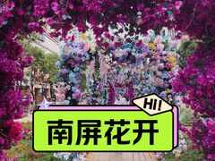 -南屏步行街