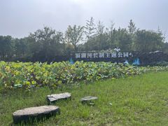 -滆湖低碳生态公园