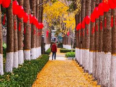 -长白岛森林公园