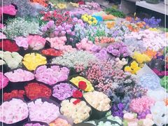 -双季花艺园艺市场(浦东店)