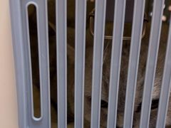 -瑞派宠物医院·24h·骨外科·皮肤科·全科宠物医疗转诊中心(沈阳浑南院)