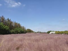 -嘉北郊野公园