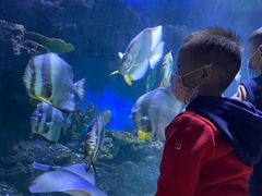 -华夏文旅海洋公园