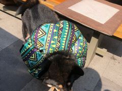 -RAC BAR(安福路店)