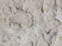 -碧海银沙景区