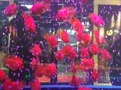 -釜山火炉韩式炭火烤肉(欧洲城店)