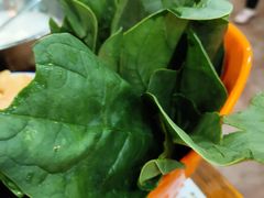 -三里屯土灶炖公鸡地锅鸡(江东店)