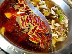 -大龙燚火锅(春熙店)