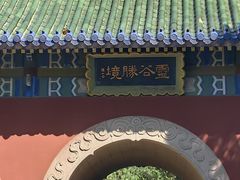 -灵谷景区