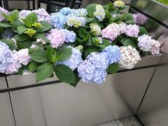 -金茂览秀城