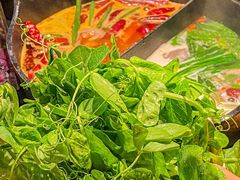 -大龙燚·旷野鲜火锅(广州首店)