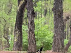 -长春市南湖公园