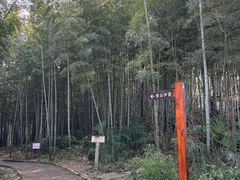 -青龙山国家森林公园