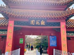 -桃花堤公园