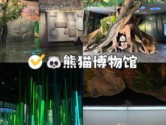 -成都大熊猫繁育研究基地