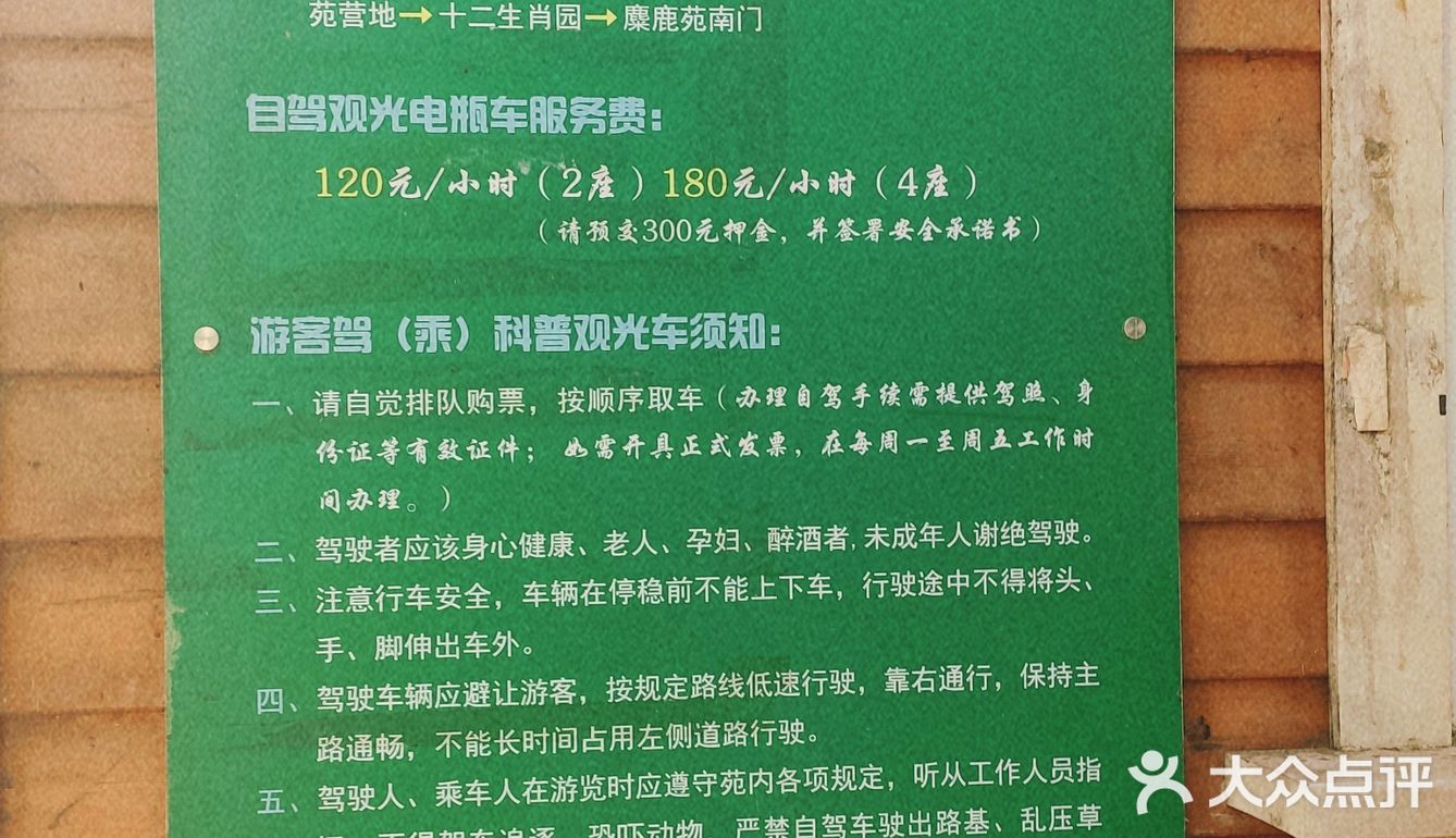 免费公园 近距离接触小动物